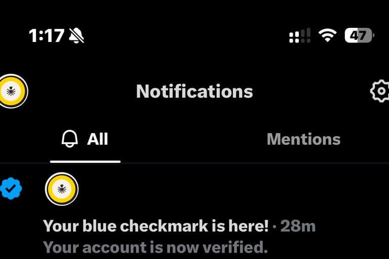 Screenshot of the X (formerly Twitter) app's Notifications page in dark mode showing a notification that says, "Your blue checkmark is here! Your account is now verified," indicating the IBBE account has received a blue verification badge.